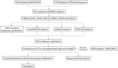 Bacterial lipopolysaccharide-related genes are involved in the invasion and recurrence of prostate cancer and are related to immune escape based on bioinformatics analysis